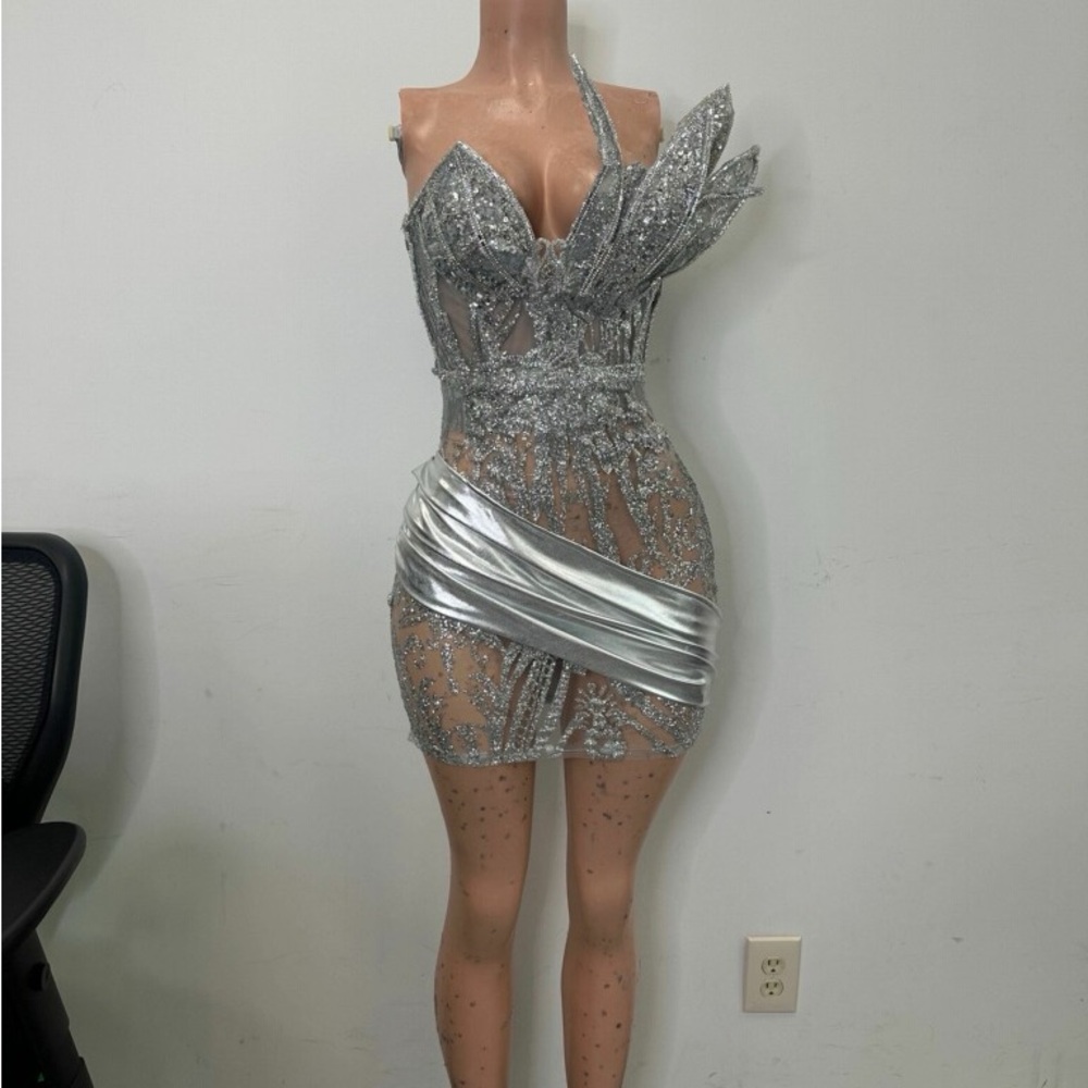 Elegant Silver Custom Evening Birthday Dress - Picture 4 of 6